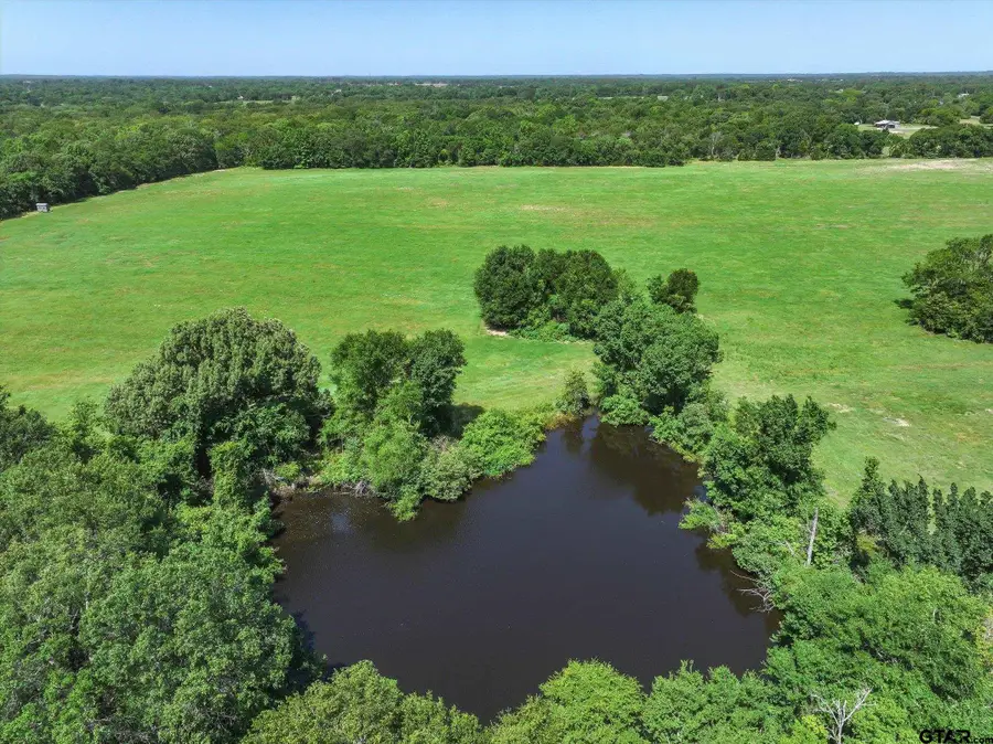TBD Lot 3 CR 1521, Grand Saline, TX 75140 - #3
