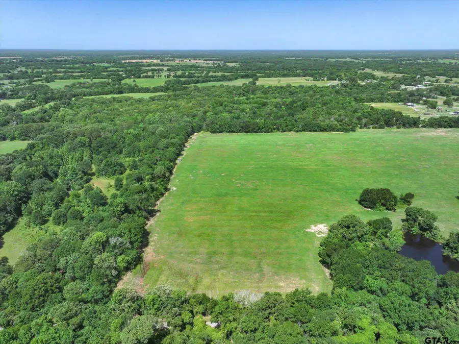TBD Lot 4 CR 1521, Grand Saline, TX 75140 - Image #2