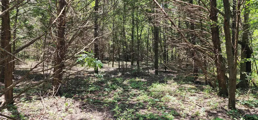 #3
