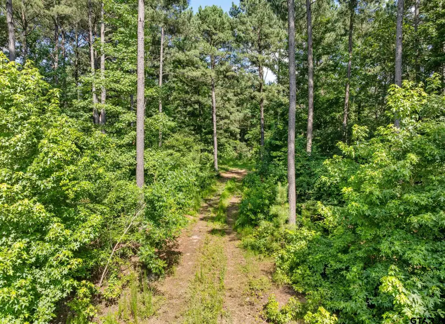 993 Dahlia Rd, Gilmer, TX 75644 - Image #3