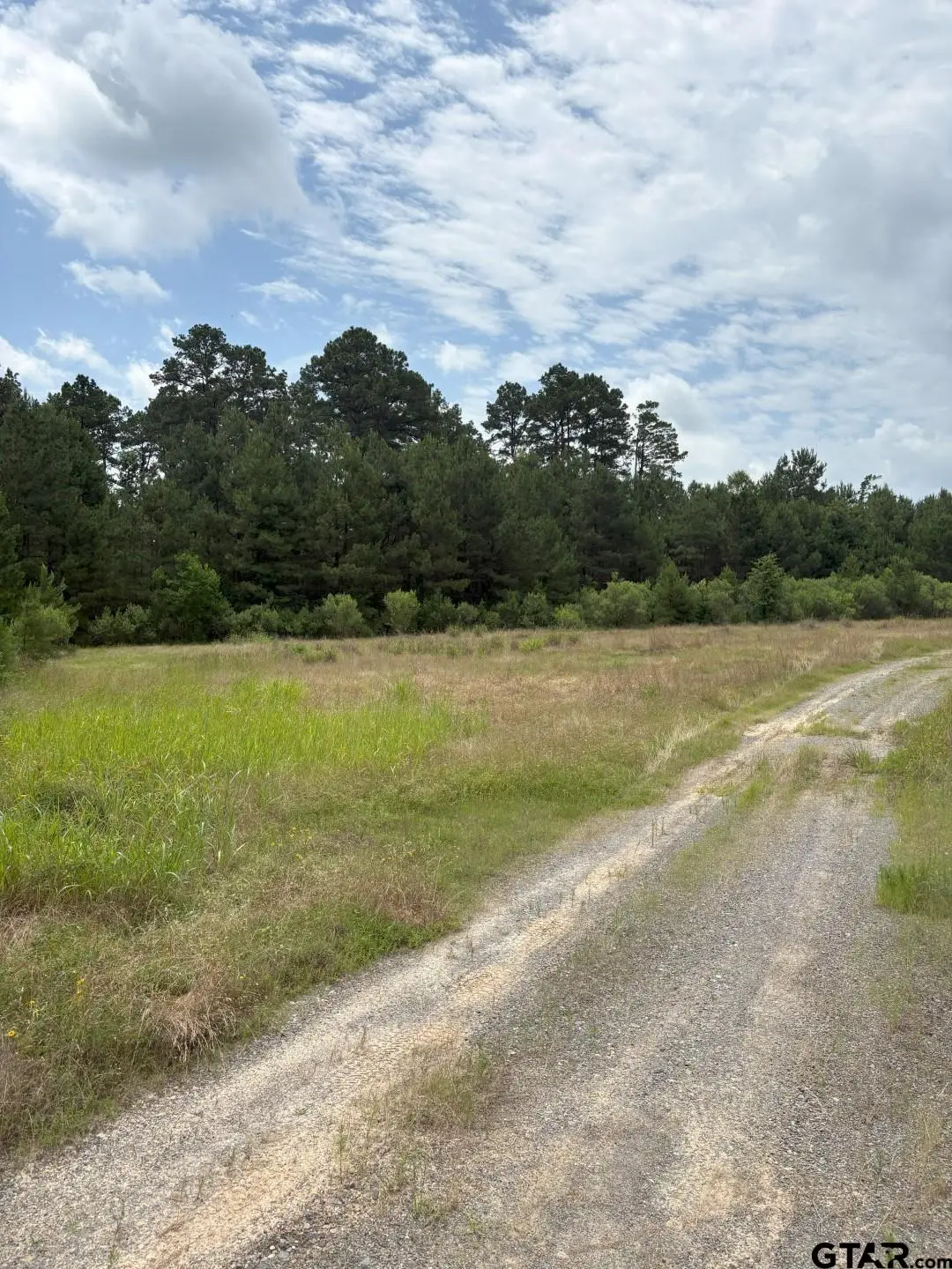 TBD County Road 425, Tenaha, TX 75974 - Image #1