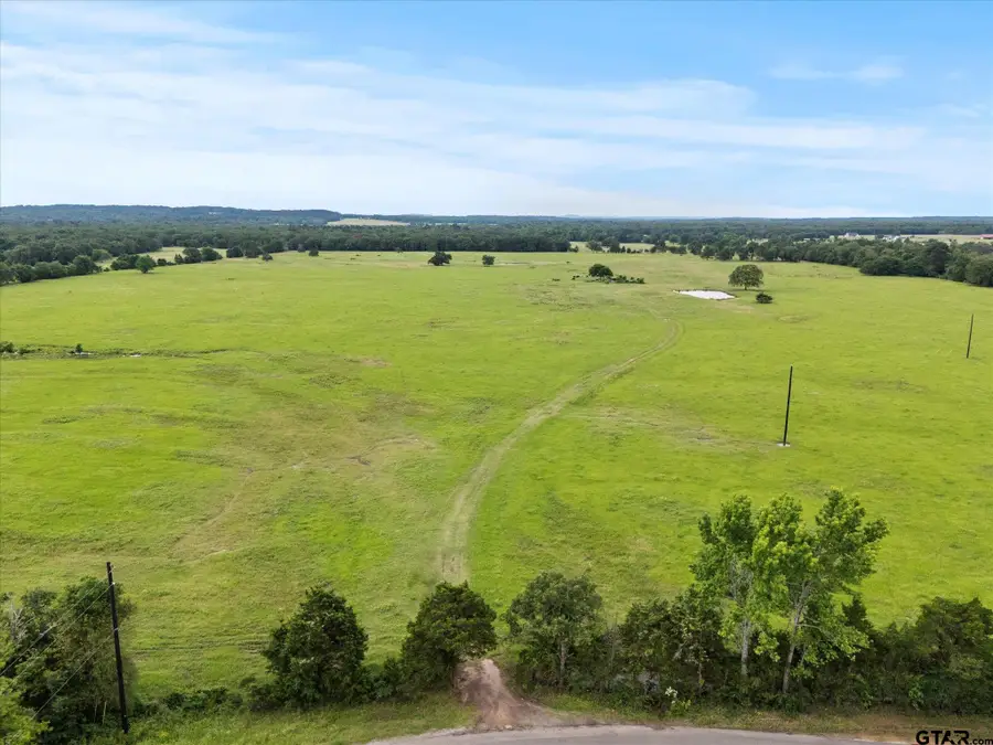 0000 CR 4607, Ben Wheeler, TX 75754 - Image #2