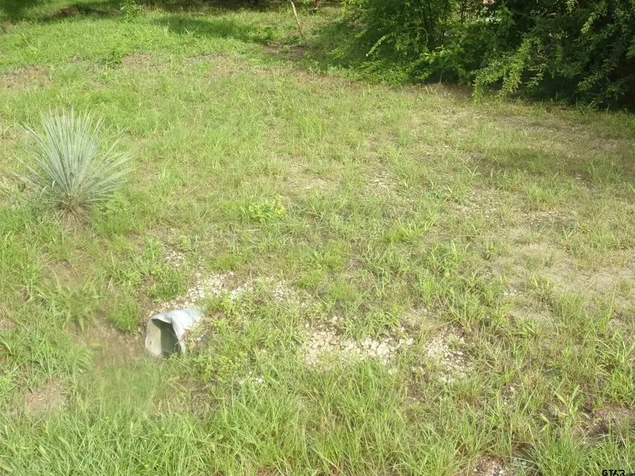 187 Holly Lane, Murchison, TX 75778 - #2