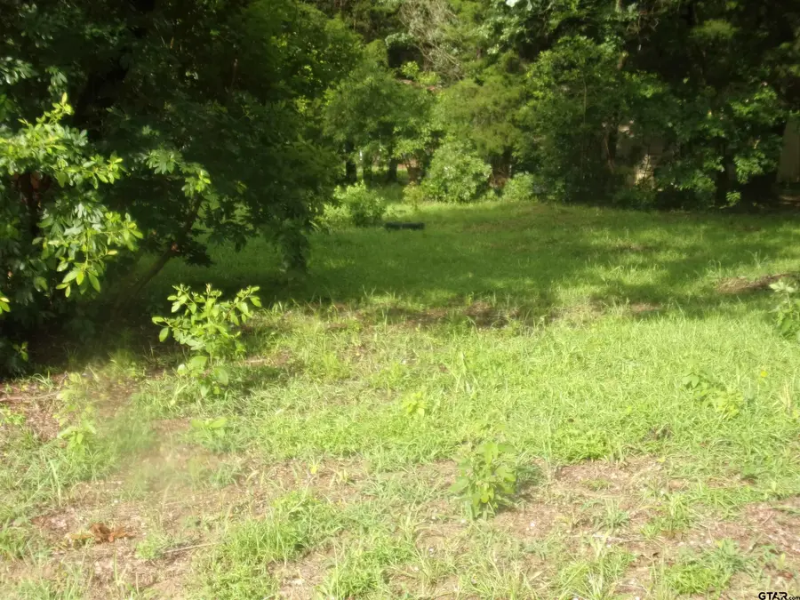 187 Holly Lane, Murchison, TX 75778 - #3