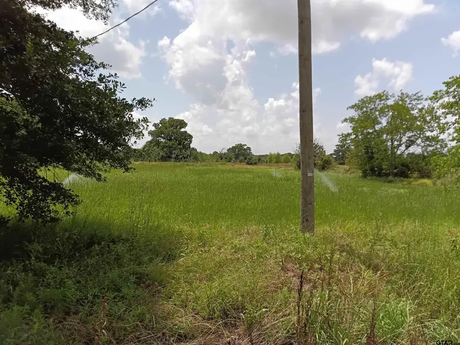 11488 State Hwy 110, Van, TX 75790 - #2