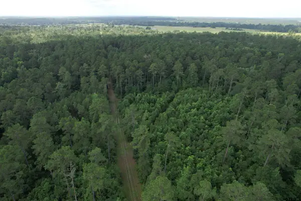 0000 CR 4020, Crockett, TX 75835