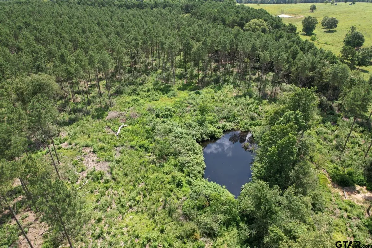 TBD CR 3706, Tenaha, TX 75974 - Image #1
