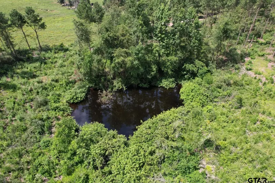 TBD CR 3706, Tenaha, TX 75974 - Image #2