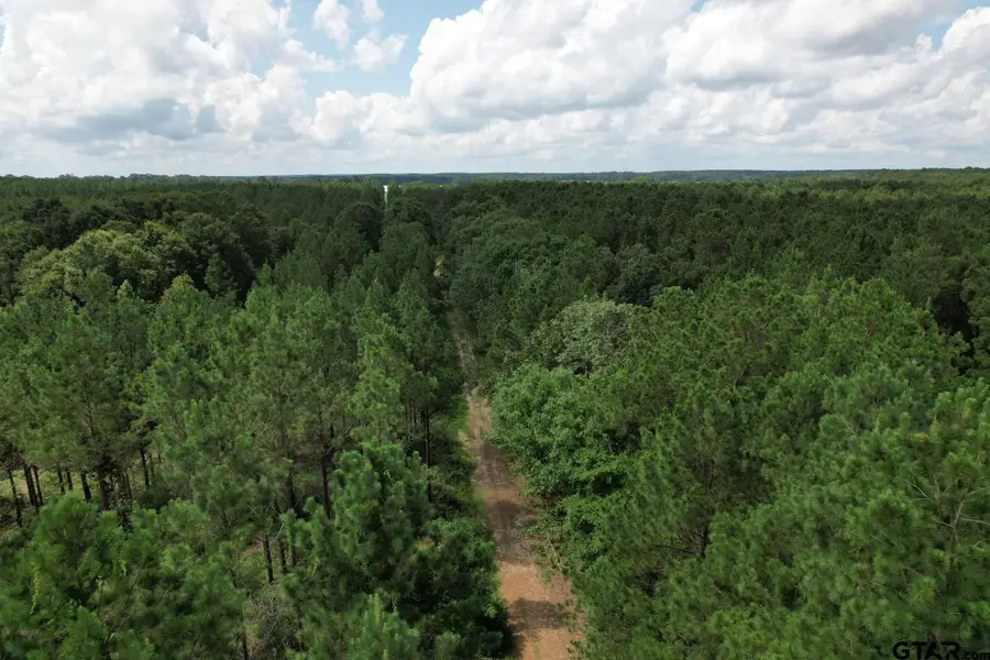 TBD CR 3706, Tenaha, TX 75974 - Image #3