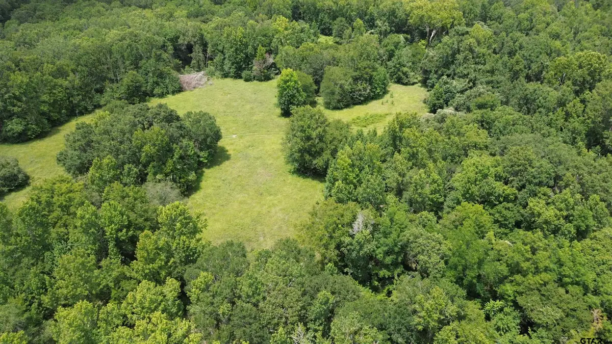Tract 3 CR 2065, Crockett, TX 75835 - #1