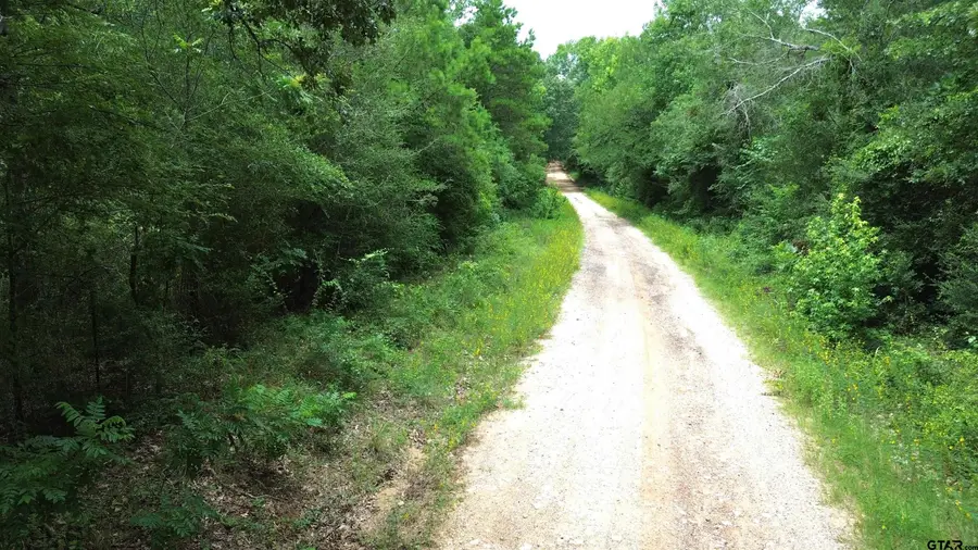 Tract 3 CR 2065, Crockett, TX 75835 - #2