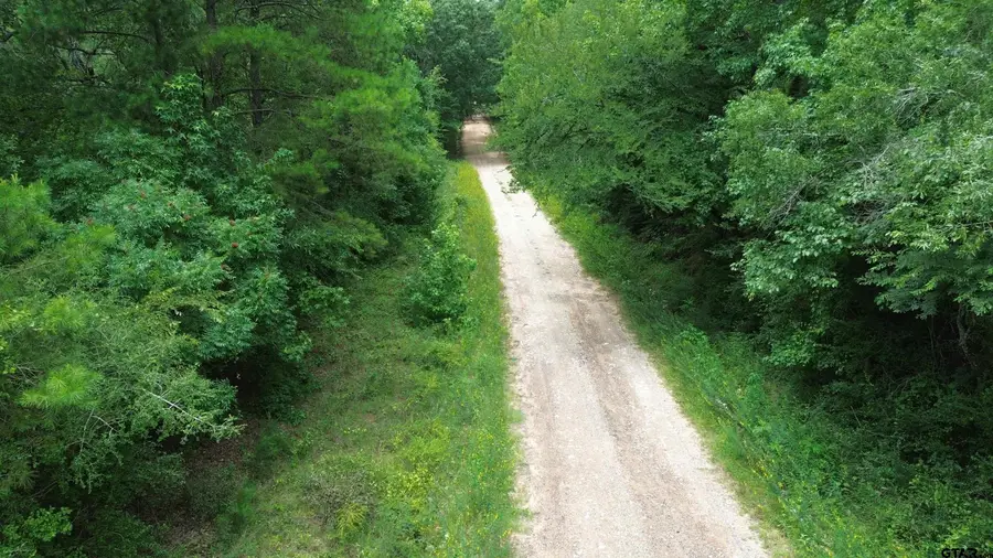 Tract 3 CR 2065, Crockett, TX 75835 - #3
