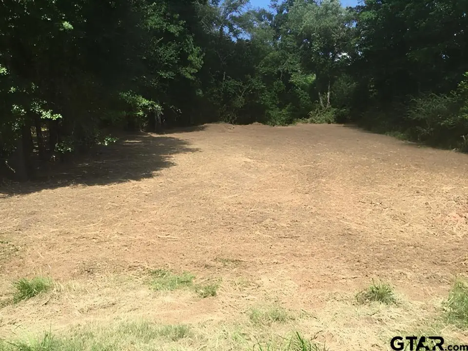 14871 Highway 110, Whitehouse, TX 75791 - #1