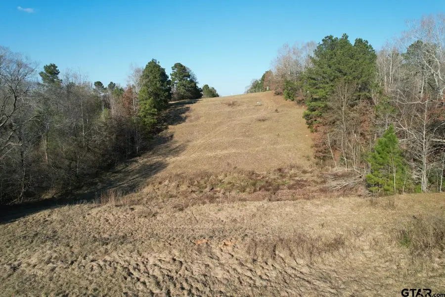 TBD Reeves Rd, Garrison, TX 75946 - Image #3