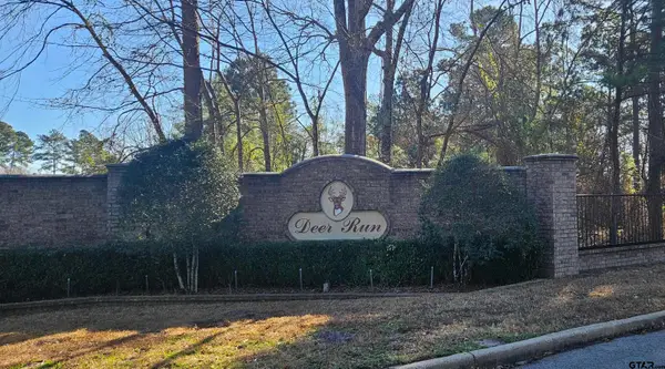 13311 White Tail Drive, Tyler, TX 75707