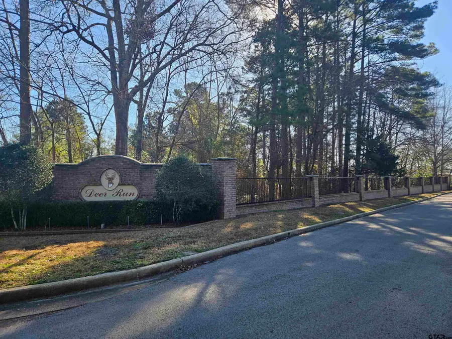 13311 White Tail Drive, Tyler, TX 75707 - #2