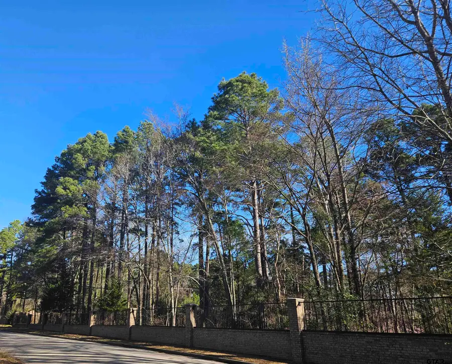 13311 White Tail Drive, Tyler, TX 75707 - #3