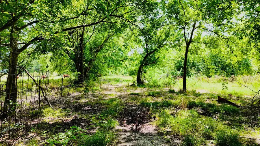 TBD FM 71 SS, Sulphur Springs, TX 75482 - Image #2