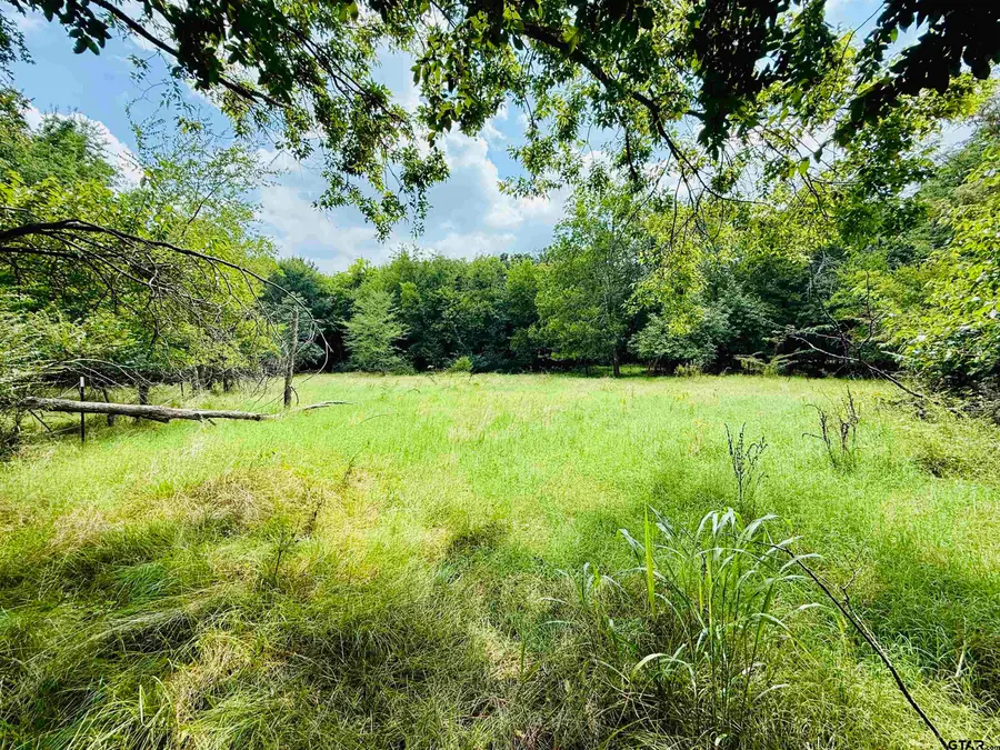 TBD FM 71 SS, Sulphur Springs, TX 75482 - Image #3