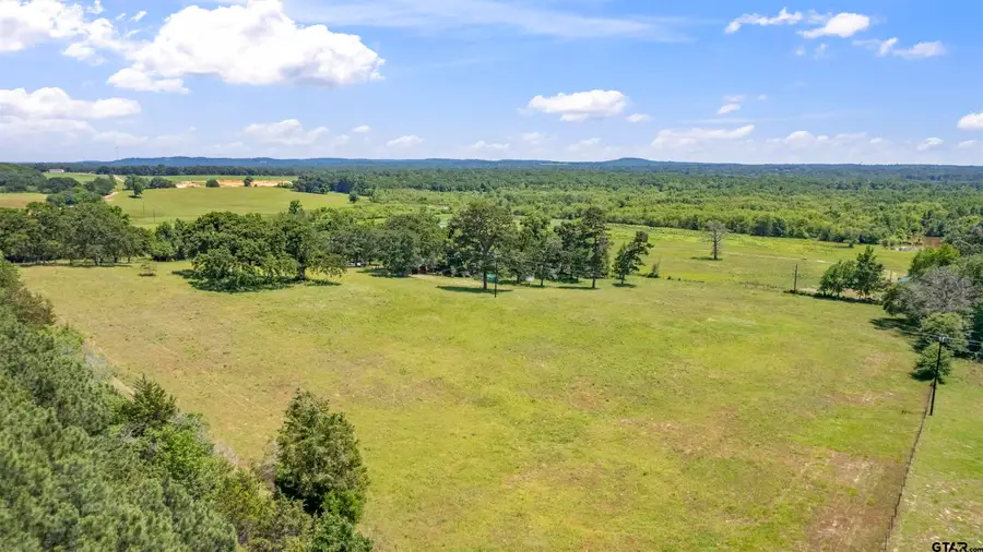 12250 CR 3513, Brownsboro, TX 75756 - #3