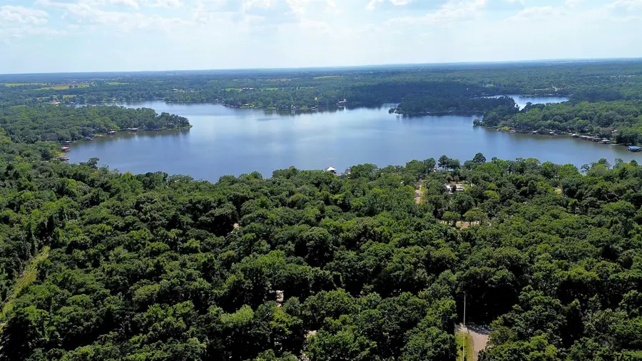 239 Briar Valley Dr, Murchison, TX 75778 - Image #2