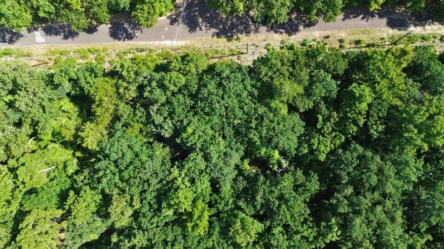 239 Briar Valley Dr, Murchison, TX 75778 - Image #3