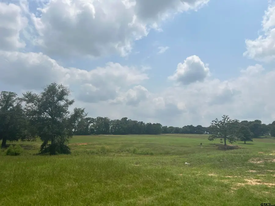 Lot 7 Fm 315, Chandler Brownsboro, TX 75758 - #2