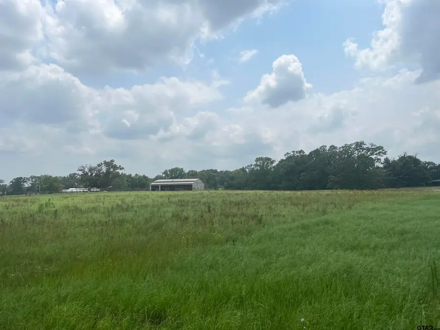 Lot 7 Fm 315, Chandler Brownsboro, TX 75758 - #3