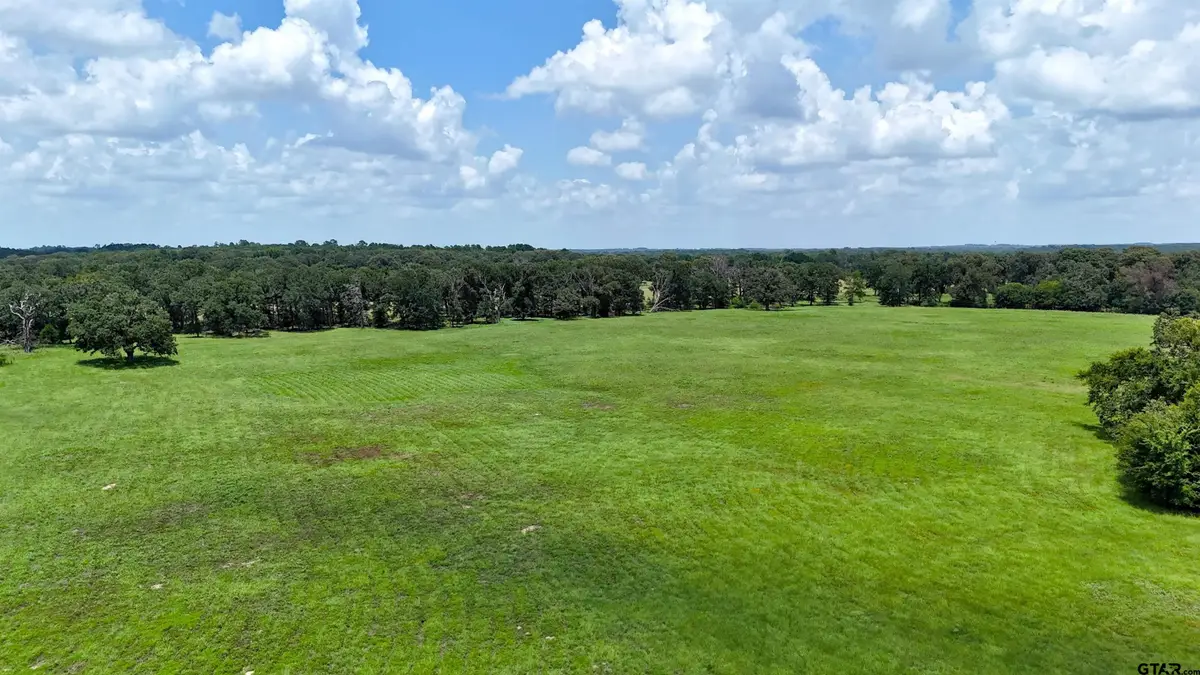 TBD Cr 4613, Athens, TX 75751 - #1