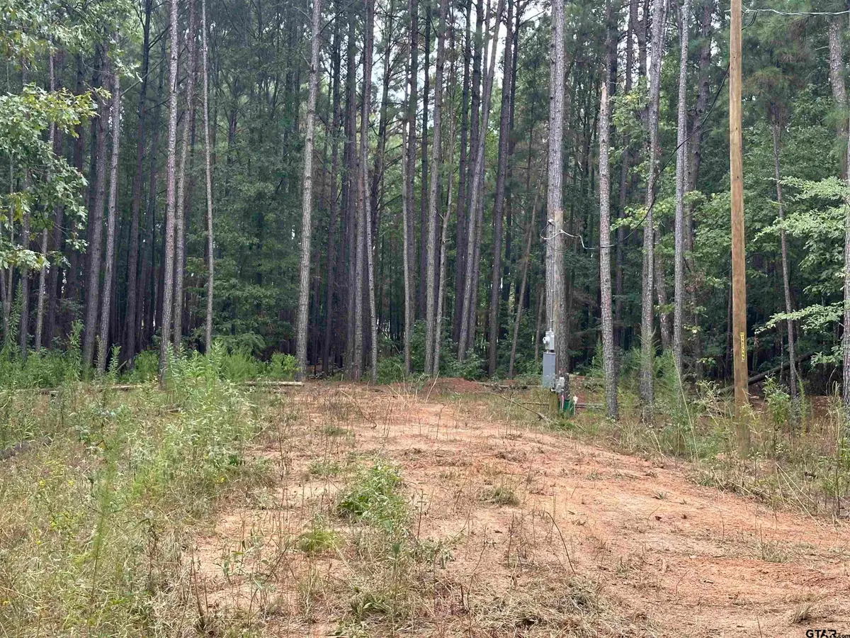 870 CR 1675, Mount Pleasant, TX 75455 - #1