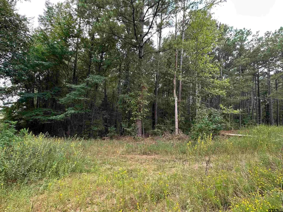 870 CR 1675, Mount Pleasant, TX 75455 - #2