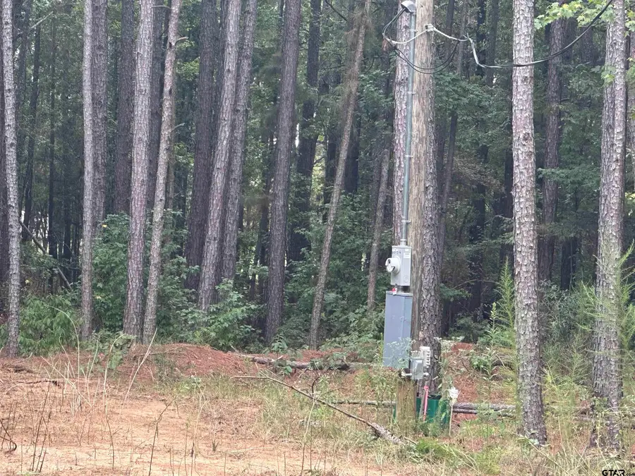 870 CR 1675, Mount Pleasant, TX 75455 - #3