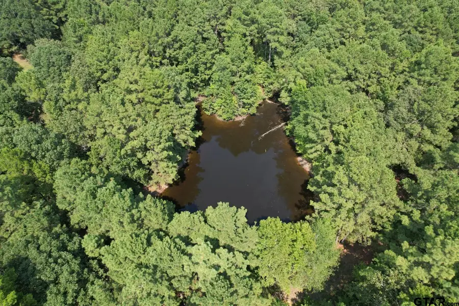 TBD County Road 283, Garrison, TX 75946 - #2