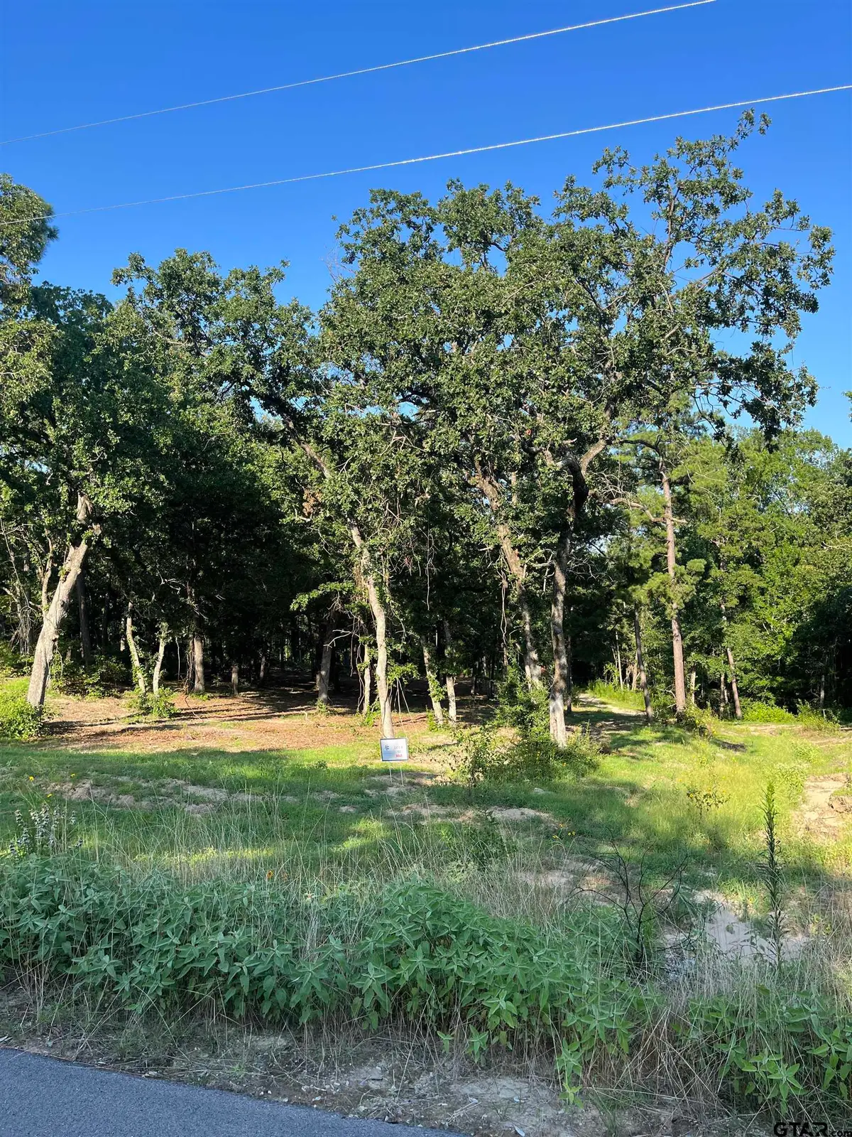 3242 Shadow Pine Dr, Larue Poynor, TX 75770 - #1