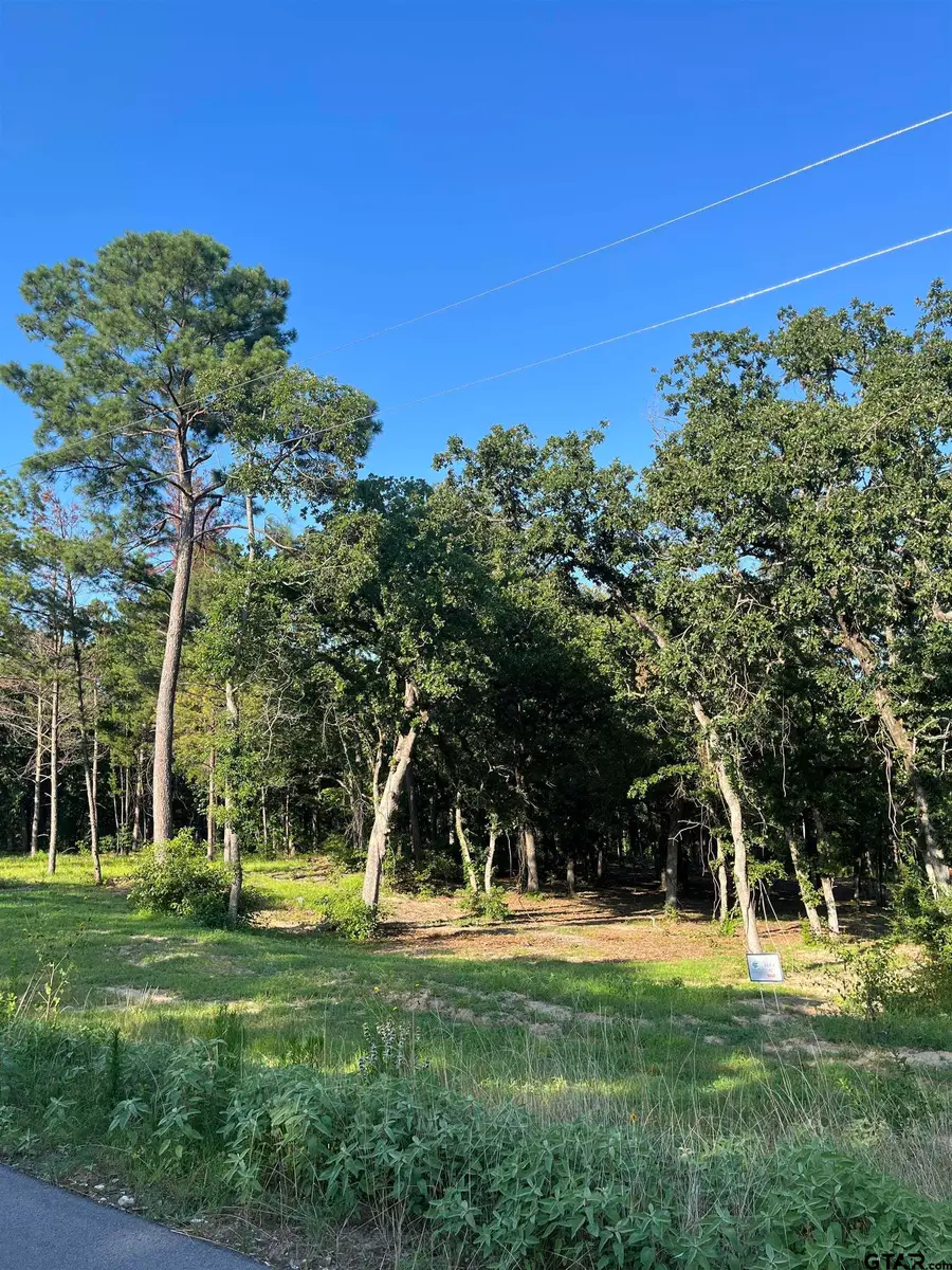 3242 Shadow Pine Dr, Larue Poynor, TX 75770 - #2