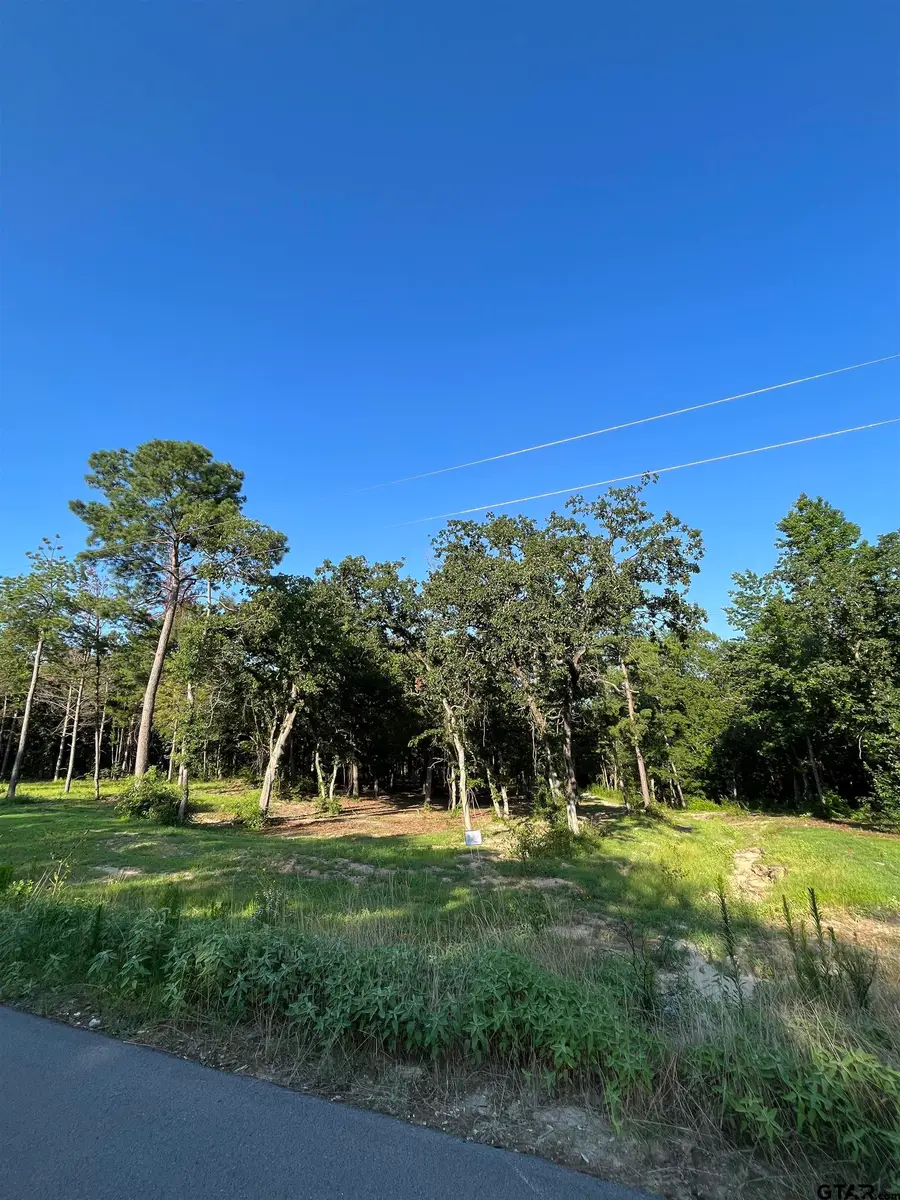 3242 Shadow Pine Dr, Larue Poynor, TX 75770 - #3