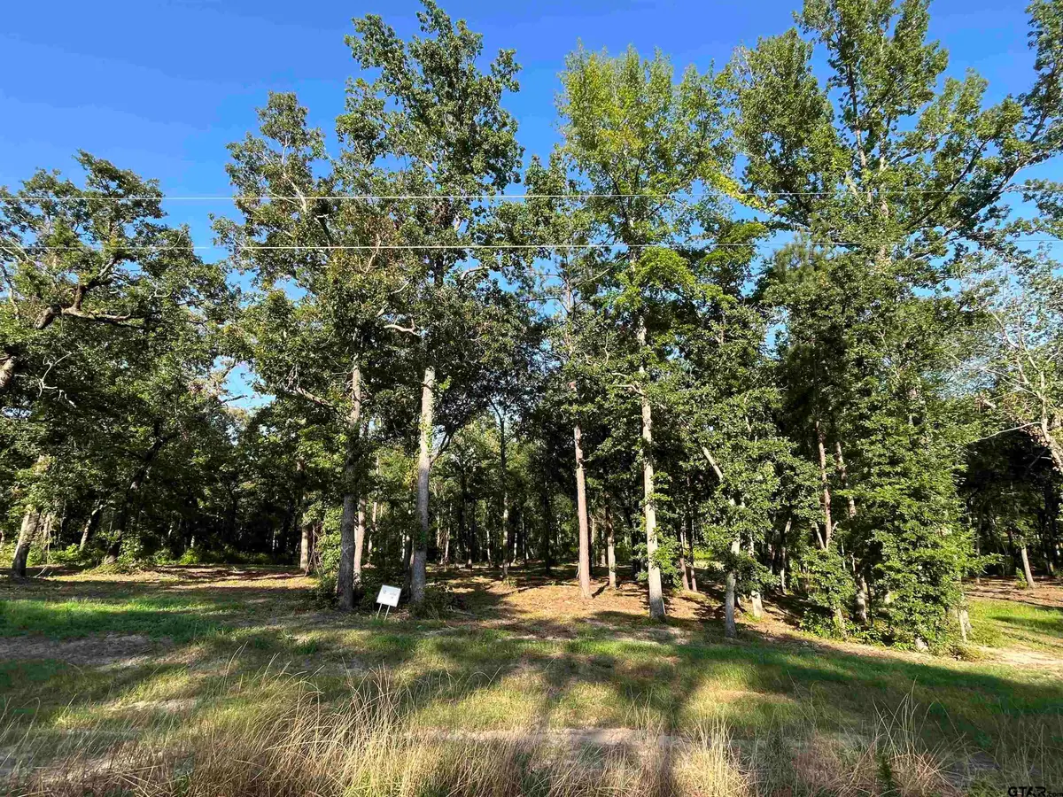 3226 Shadow Pine Dr, Larue Poynor, TX 75770 - #1