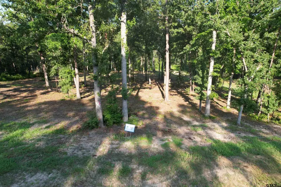 3226 Shadow Pine Dr, Larue Poynor, TX 75770 - #2