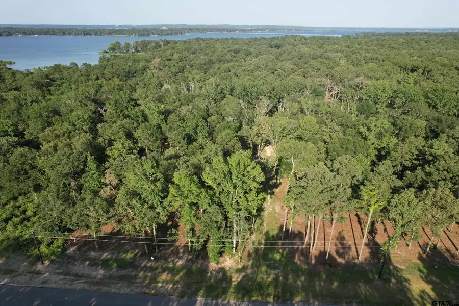 3226 Shadow Pine Dr, Larue Poynor, TX 75770 - #3