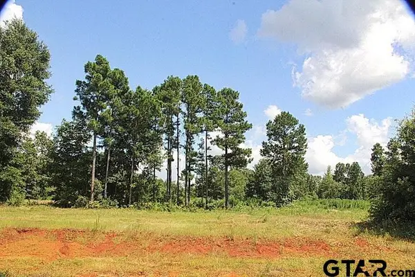 930 Stone Chimney Rd. (lot 18 Cr 3608), Bullard,  75757