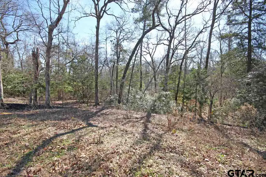 2522 Barrett Ct, Tyler, TX 75703 - #1