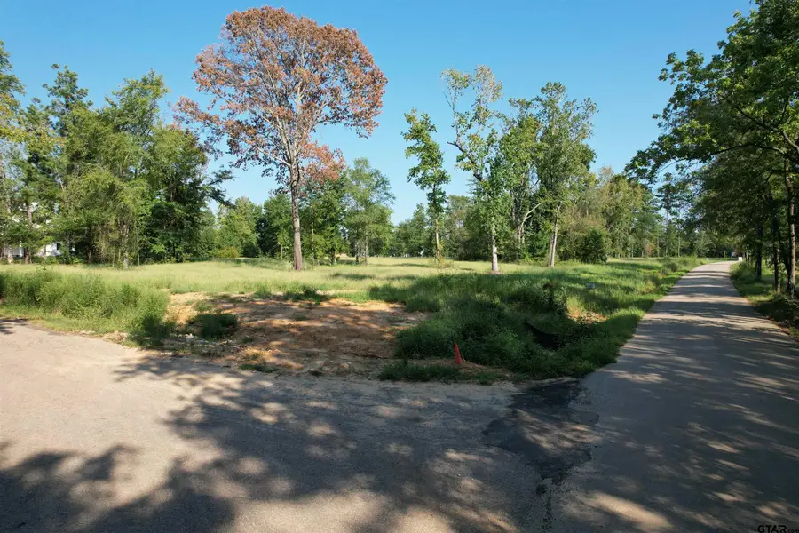 Lot #8 CR 2123, Whitehouse, TX 75791 - #2