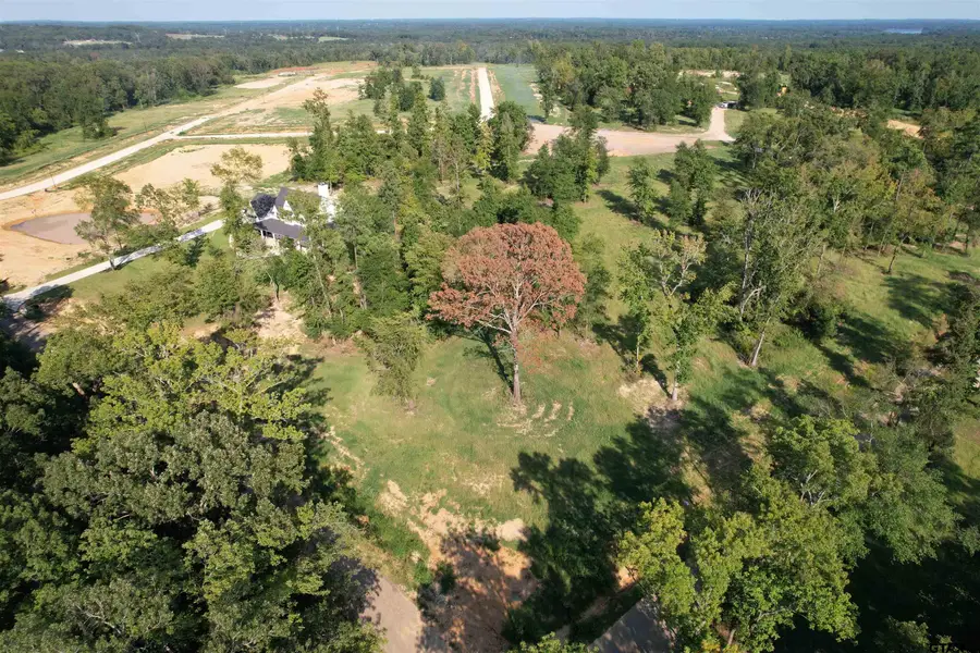 Lot #8 CR 2123, Whitehouse, TX 75791 - #3