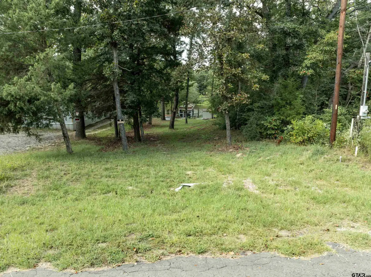 135 Ridgewood Lane, Murchison, TX 75778 - Image #1