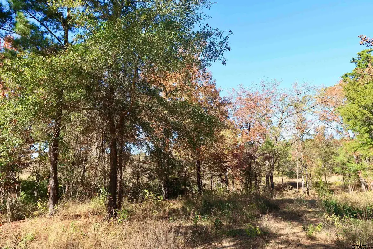 16619 Ridgeline Loop, Winona, TX 75792 - Image #1