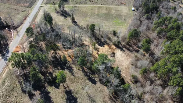 16619 Ridgeline Loop, Winona, TX 75792