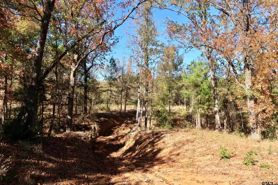 16619 Ridgeline Loop, Winona, TX 75792 - Image #2