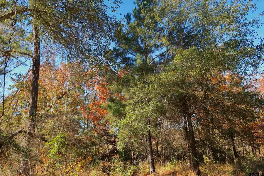 16619 Ridgeline Loop, Winona, TX 75792 - Image #3