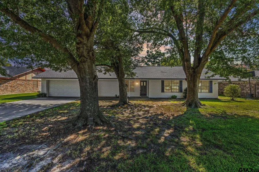 221 Azalea Lane, Sulphur Springs, TX 75482 - #2