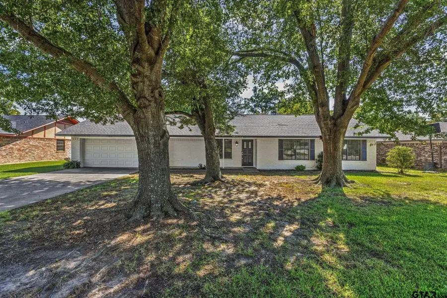 221 Azalea Lane, Sulphur Springs, TX 75482 - #3